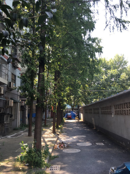 南京安国村外景图