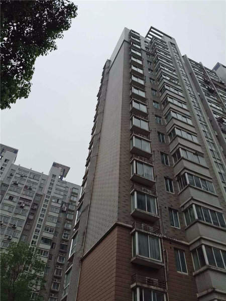 南京武夷绿洲赏桂苑外景图