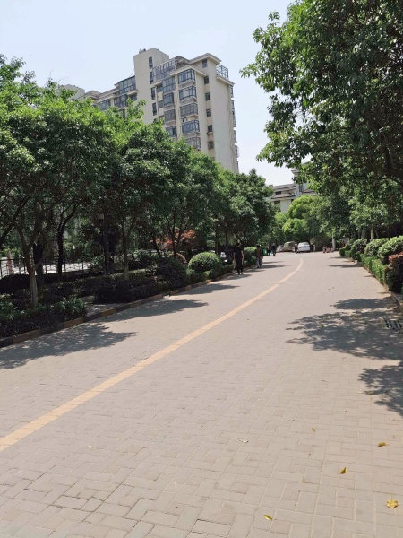 南京江南青年城绯云苑外景图