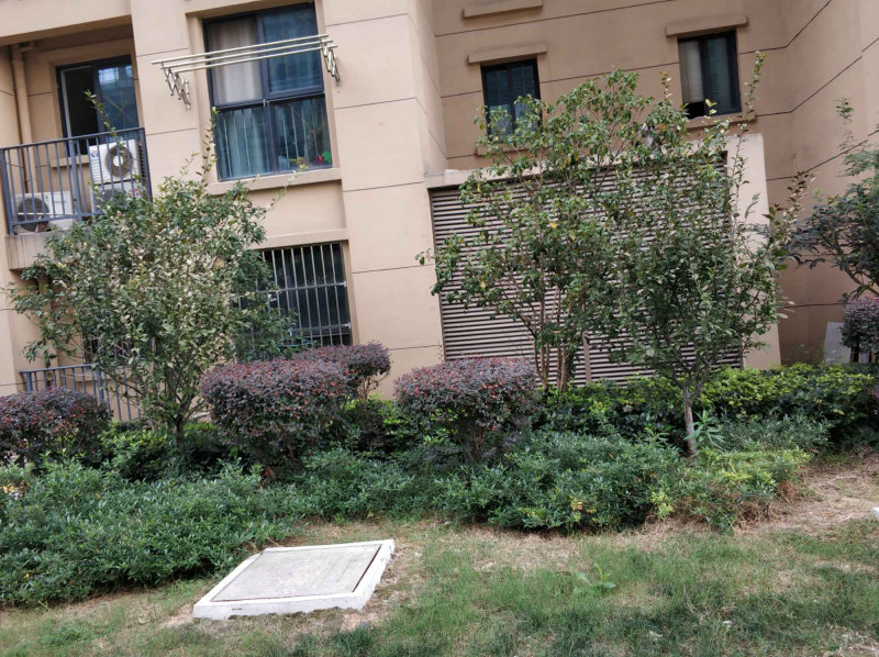 南京河定桥新苑外景图