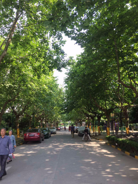 南京天地新城天枢座外景图