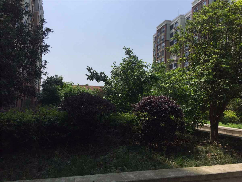 南京康博花园外景图