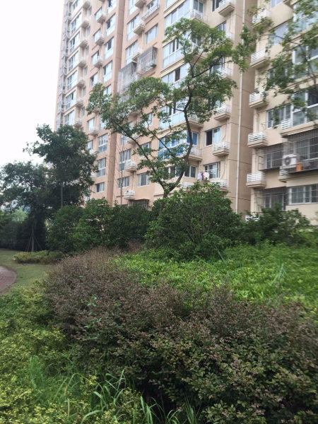 上海樟盛苑二手房房源图片