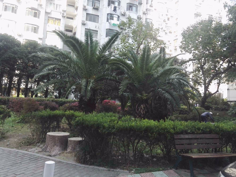 上海西凌新邨二手房房源图片