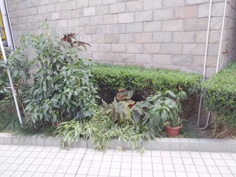 上海高欣公寓二手房房源图片