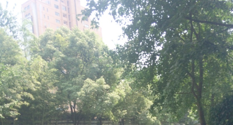 上海太原邸二手房房源图片