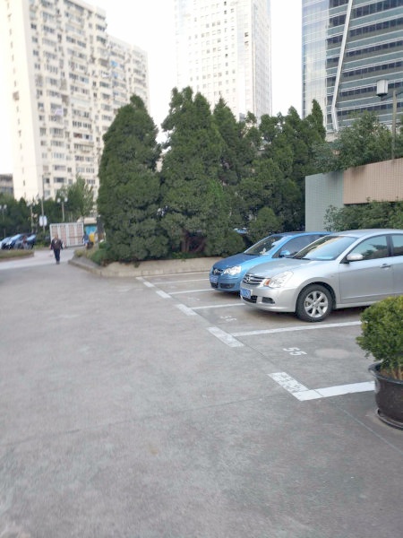 上海名仕苑二手房房源图片