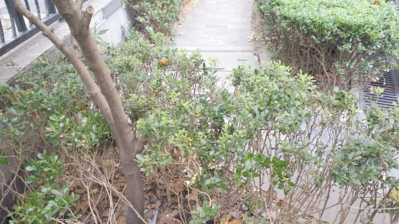 上海兴盛公寓二手房房源图片