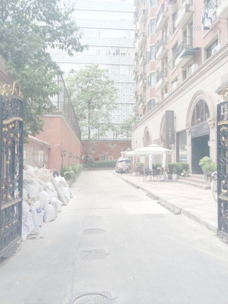 上海梧桐花园A座二手房房源图片