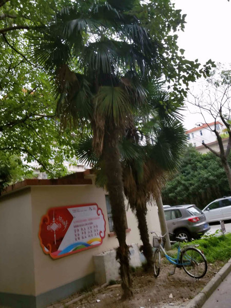 上海薛家宅小区二手房房源图片