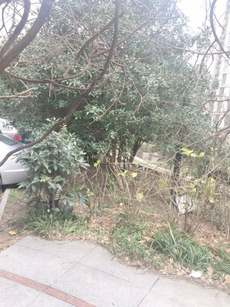 上海思南新苑二手房房源图片