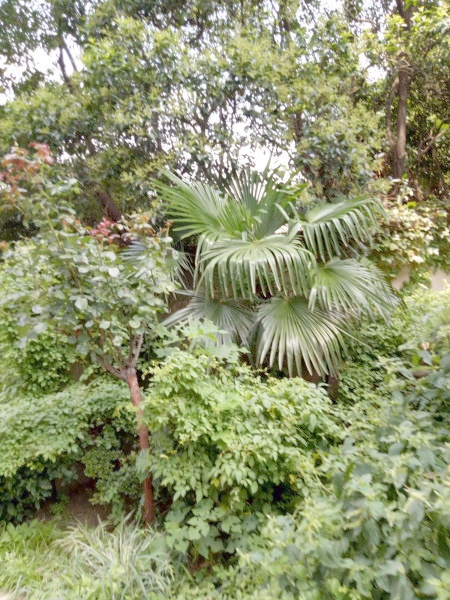 上海长乐公寓二手房房源图片