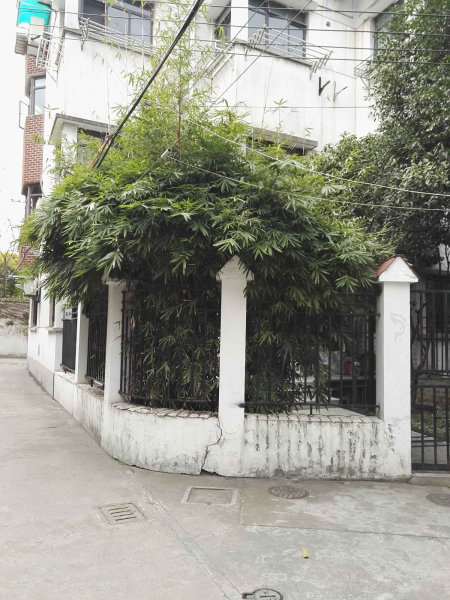 上海岳阳路200弄小区二手房房源图片