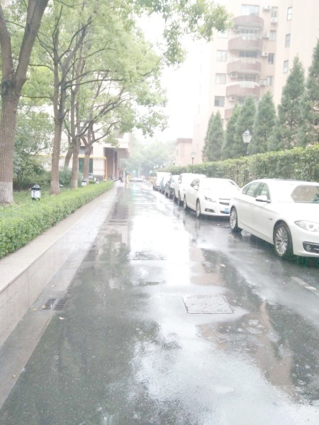 上海丁香公寓二手房房源图片