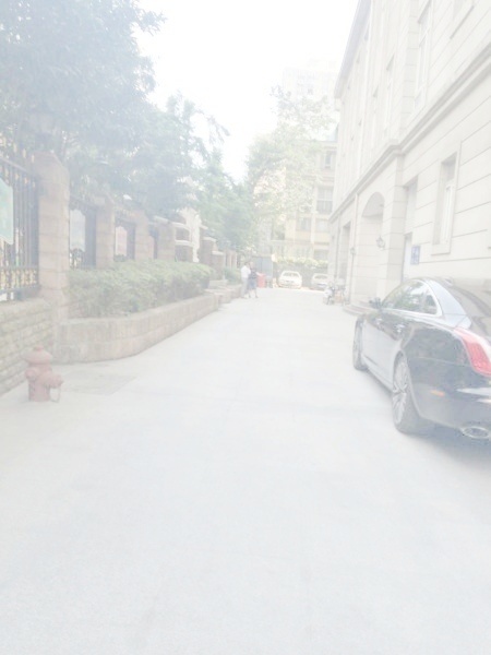 上海嘉御庭(一期)二手房房源图片