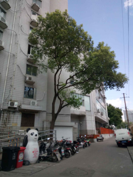 上海恒安大厦二手房房源图片