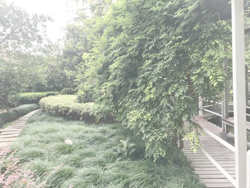 上海步高苑二手房房源图片