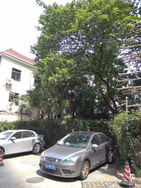 上海金柏苑二手房房源图片