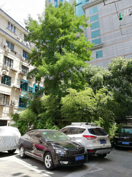 上海威海小区二手房房源图片