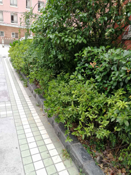 上海长发大厦二手房房源图片