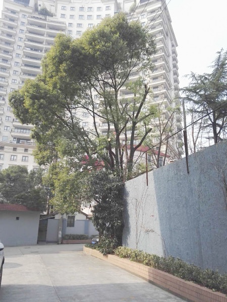 上海年平公寓二手房房源图片