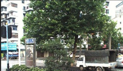 宝丰崇仁小区图片