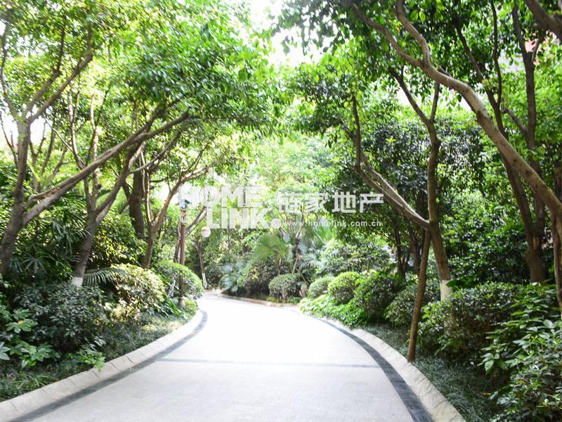 成都鹭岛国际三期图片