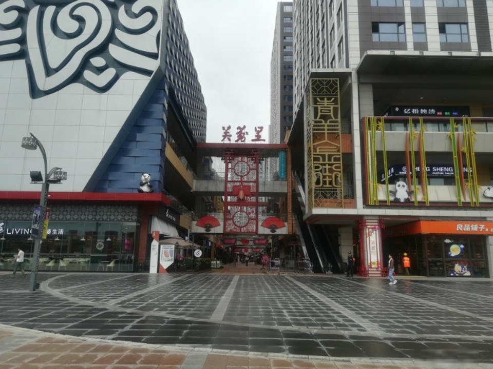 成都青羊万达广场二手房房源图片