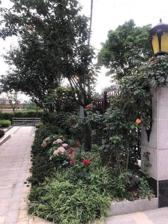 成都中国铁建西派澜岸二手房房源图片