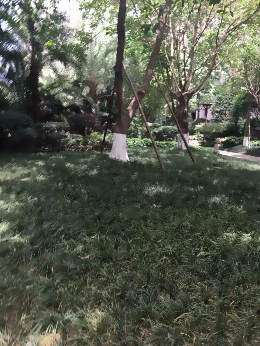 成都中海城南一号二手房房源图片