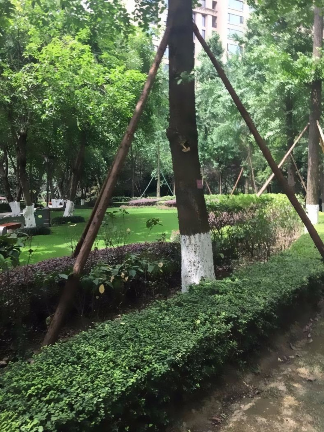 成都中海城南一号二手房房源图片
