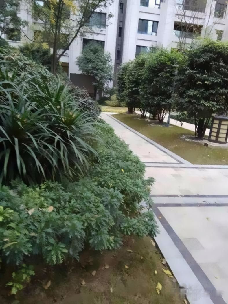成都西派国际二手房房源图片