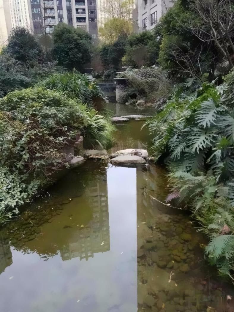 成都西派国际二手房房源图片