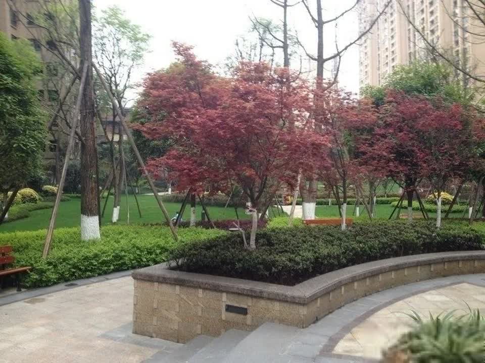 成都中海城南华府二手房房源图片