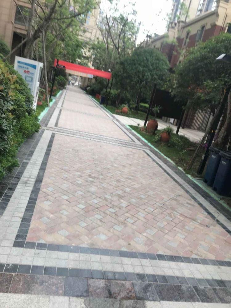 成都蓝花楹二手房房源图片