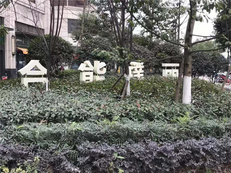 成都合能璞丽二手房房源图片