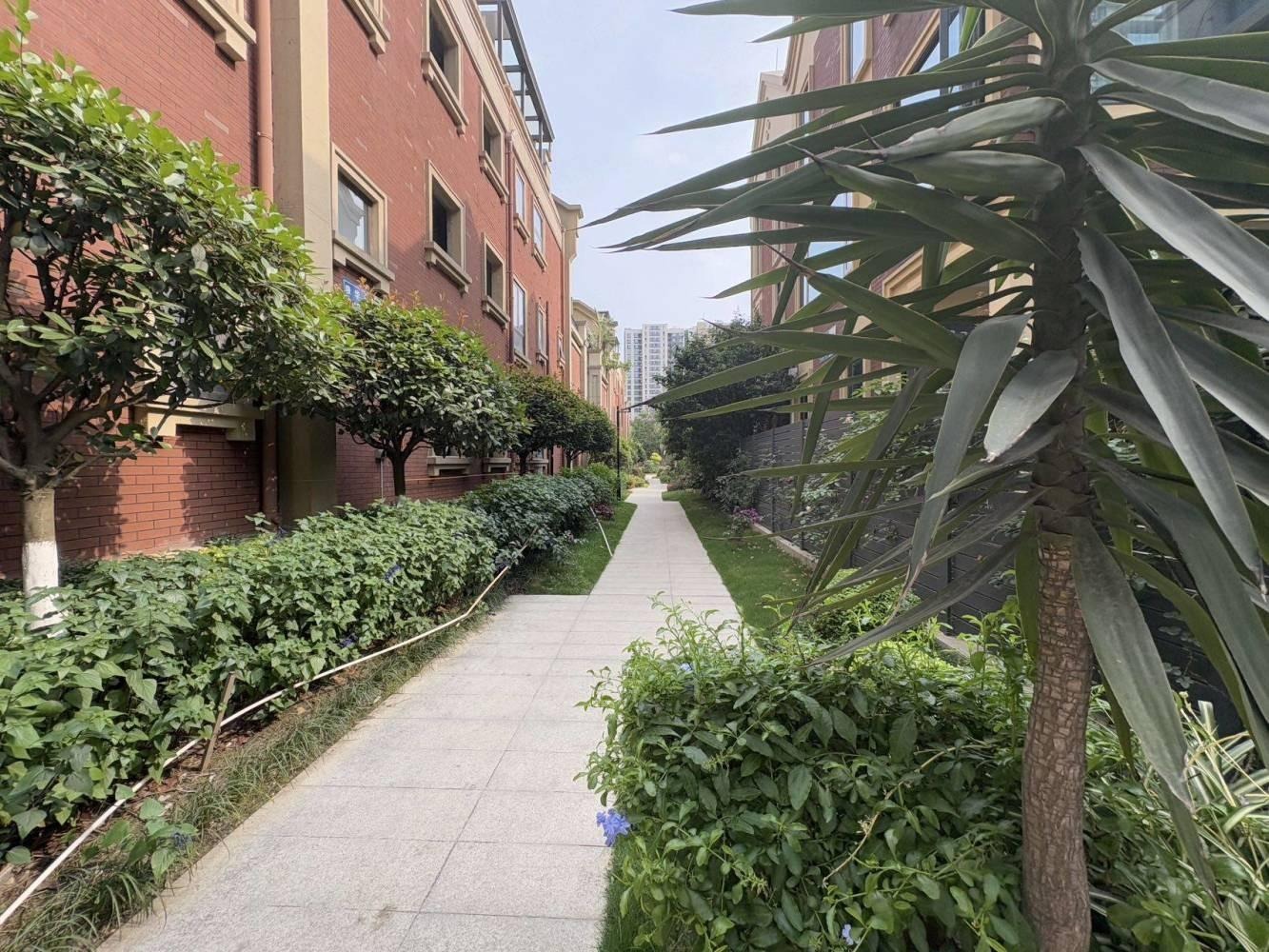 成都蓝花楹(别墅)二手房房源图片