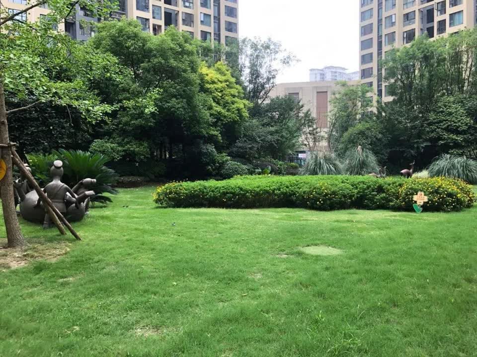 成都建发鹭洲国际二手房房源图片