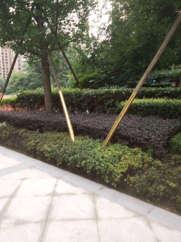 成都保利心语观园国际二手房房源图片