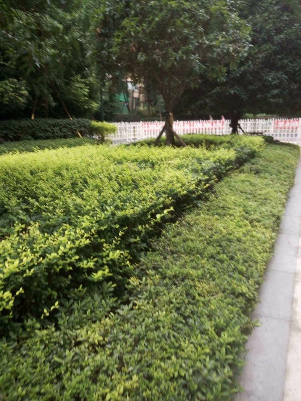 成都保利心语观园国际二手房房源图片