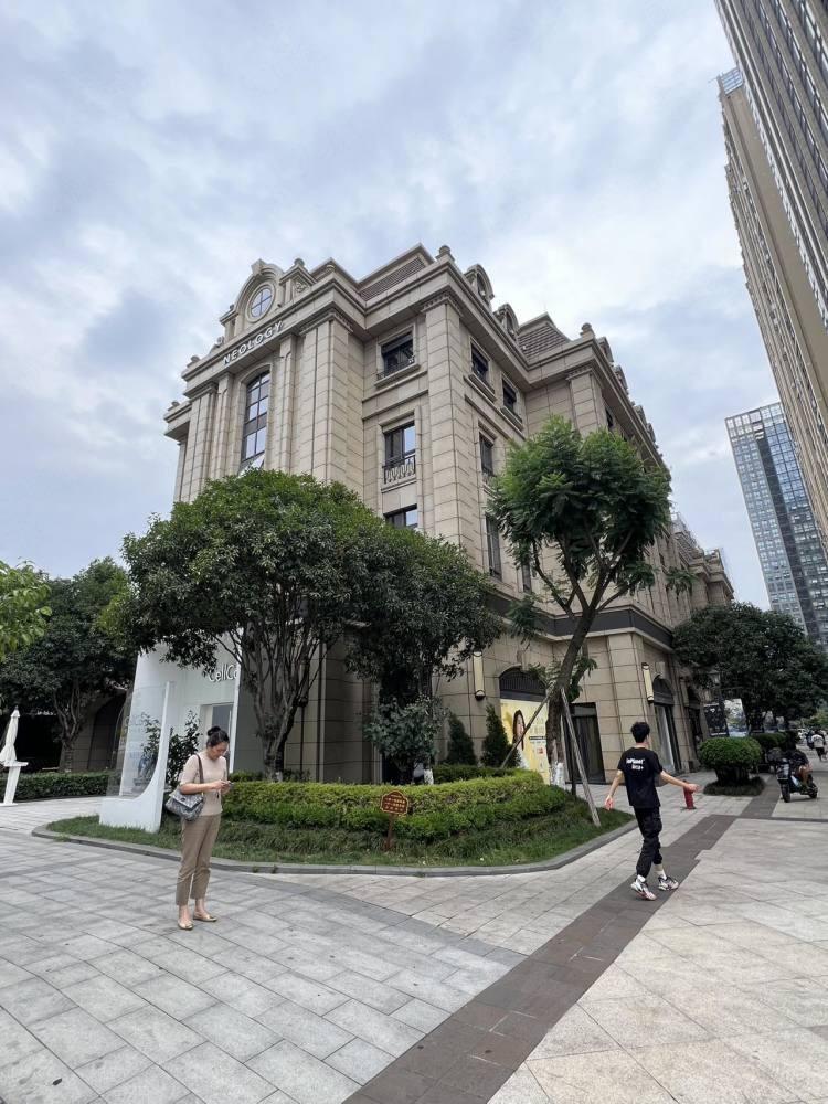 成都中粮天府宸悦天府三街商铺二手房房源图片