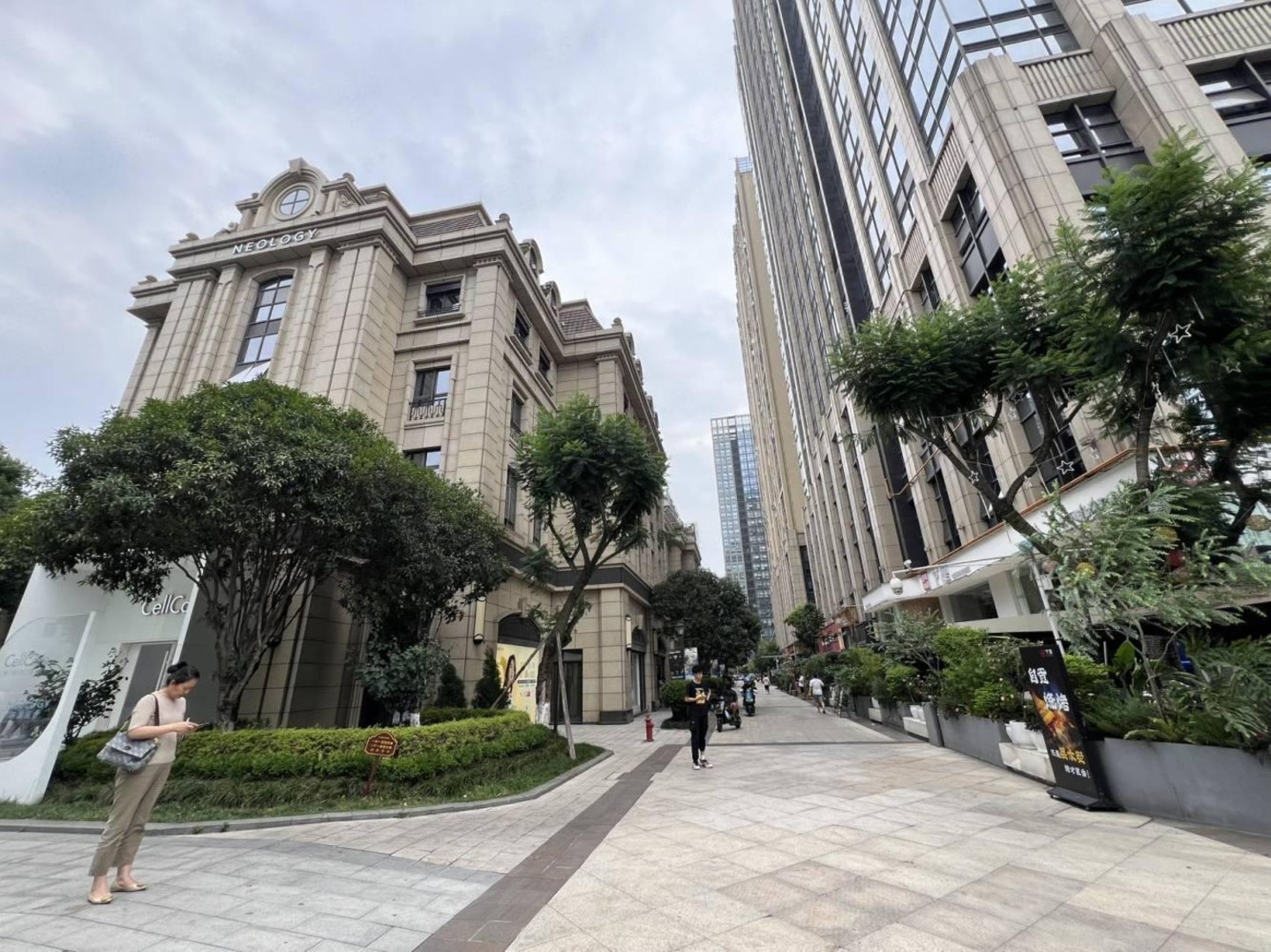 成都中粮天府宸悦天府三街商铺二手房房源图片