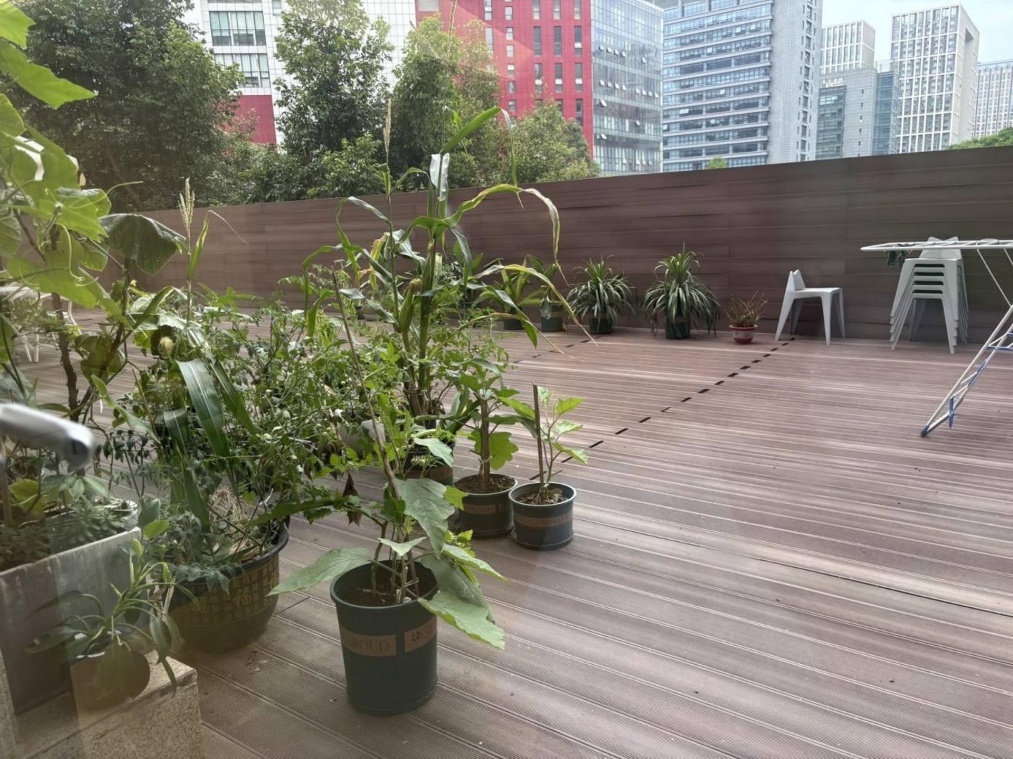 成都中粮天府宸悦天府三街商铺二手房房源图片