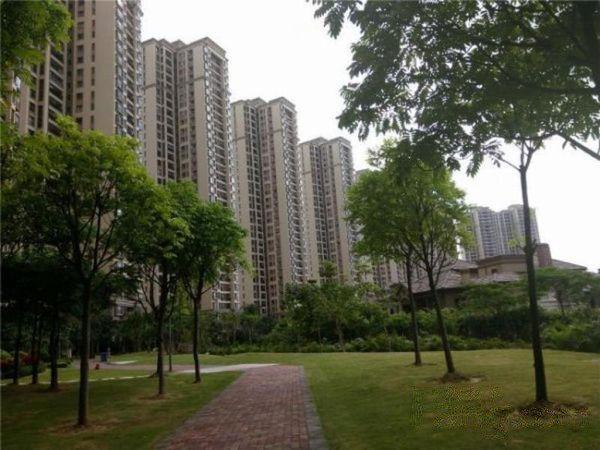东田丽园 地铁口物业 常黄商圈新区 无营业税 南向看花园