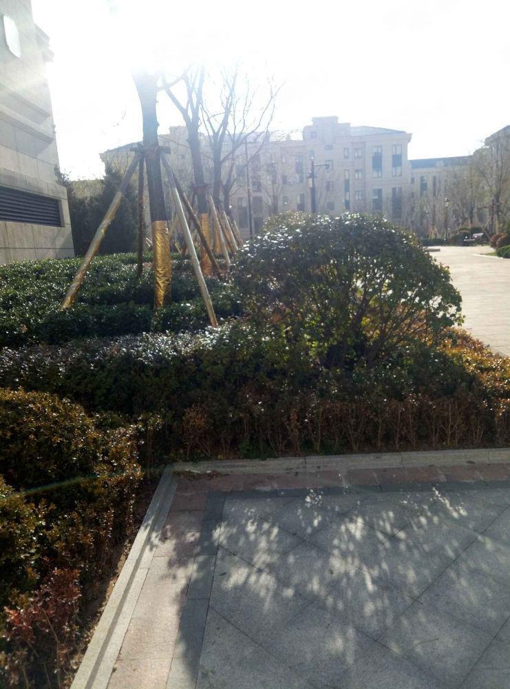 大连中国铁建海语城二手房房源图片