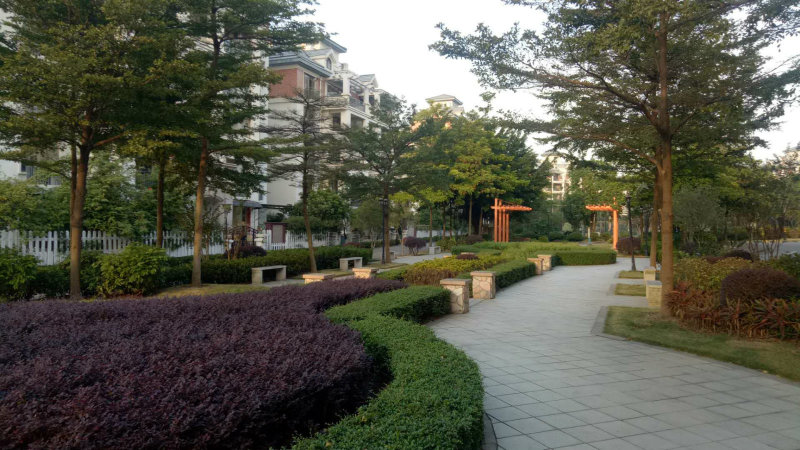 高明周边小区图片