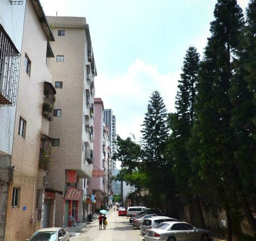 玫瑰园小区图片