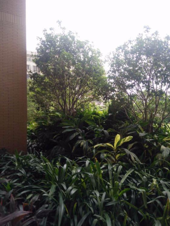 佛山悦万城二手房房源图片