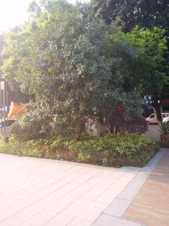 佛山时代名著二手房房源图片