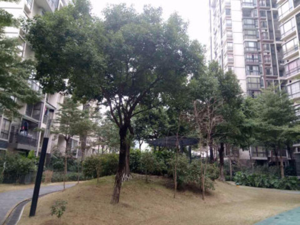 佛山保利星座二手房房源图片